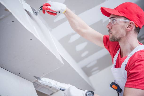 Trusted Rainsville, AL Drywall & Painting Services Experts